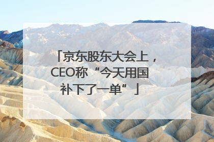 京东股东大会上，CEO称“今天用国补下了一单”