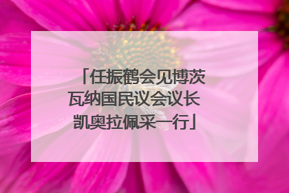 任振鹤会见博茨瓦纳国民议会议长凯奥拉佩采一行