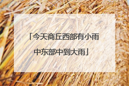 今天商丘西部有小雨 中东部中到大雨