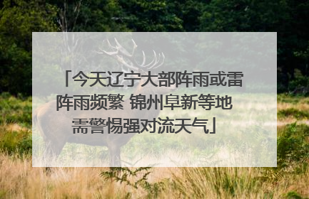 今天辽宁大部阵雨或雷阵雨频繁 锦州阜新等地需警惕强对流天气
