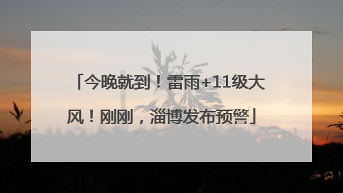 今晚就到！雷雨+11级大风！刚刚，淄博发布预警