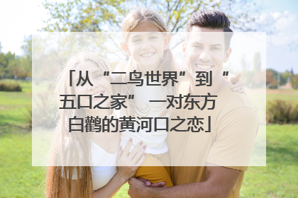 从“二鸟世界”到“五口之家” 一对东方白鹳的黄河口之恋