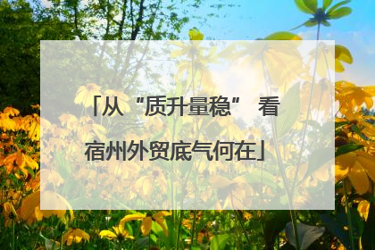 从“质升量稳” 看宿州外贸底气何在