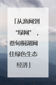 从渔网到“绿网”，蔡甸桐湖网住绿色生态经济