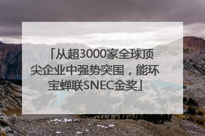 从超3000家全球顶尖企业中强势突围，能环宝蝉联SNEC金奖