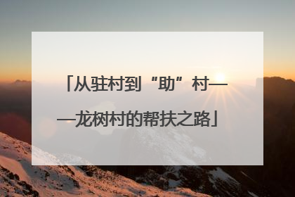 从驻村到“助”村——龙树村的帮扶之路