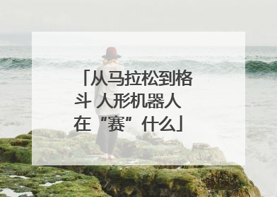 从马拉松到格斗 人形机器人在“赛”什么