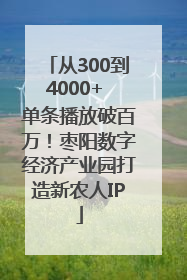 从300到4000+ 单条播放破百万！枣阳数字经济产业园打造新农人IP