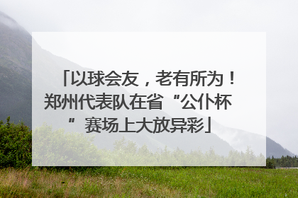 以球会友，老有所为！郑州代表队在省“公仆杯”赛场上大放异彩