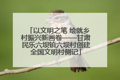 以文明之笔 绘就乡村振兴新画卷——甘肃民乐六坝镇六坝村创建全国文明村侧记