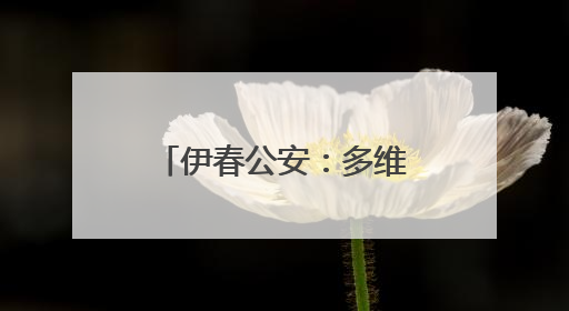 伊春公安：多维宣传强意识 全警聚力护平安