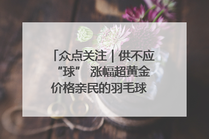众点关注｜供不应“球” 涨幅超黄金 价格亲民的羽毛球为何身价飞涨？