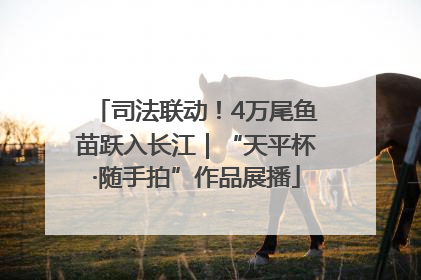 司法联动！4万尾鱼苗跃入长江｜“天平杯·随手拍”作品展播