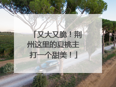 又大又脆！荆州这里的夏桃主打一个甜美！