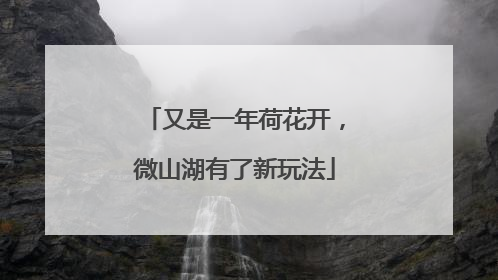 又是一年荷花开，微山湖有了新玩法