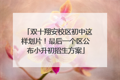 双十翔安校区初中这样划片！最后一个区公布小升初招生方案