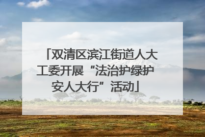 双清区滨江街道人大工委开展“法治护绿护安人大行”活动