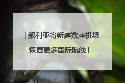 叙利亚将新建数座机场 恢复更多国际航线