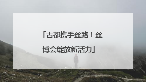 古都携手丝路！丝博会绽放新活力