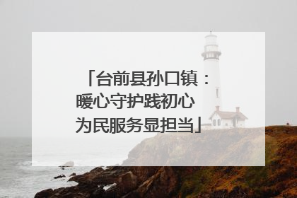 台前县孙口镇：暖心守护践初心 为民服务显担当
