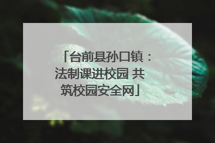 台前县孙口镇：法制课进校园 共筑校园安全网