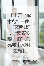 十万“啄木鸟”一座“文明城”，“爱泰安随手拍”点亮城市文明之光