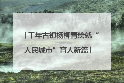 千年古镇杨柳青绘就“人民城市”育人新篇