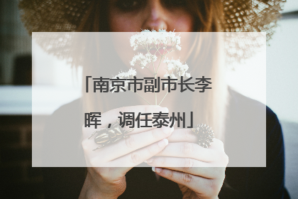 南京市副市长李晖，调任泰州