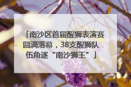 南沙区首届醒狮表演赛圆满落幕，38支醒狮队伍角逐“南沙狮王”