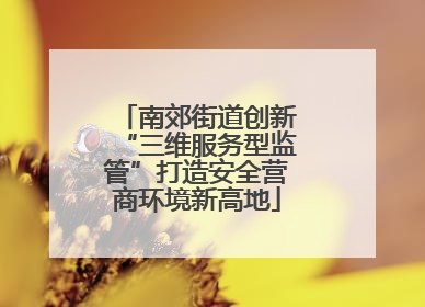 南郊街道创新“三维服务型监管”打造安全营商环境新高地