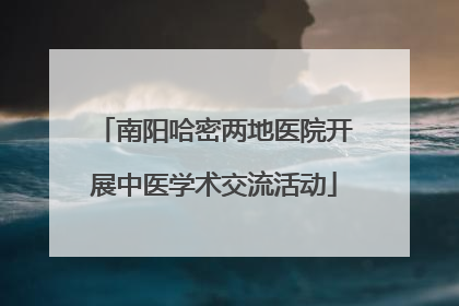 南阳哈密两地医院开展中医学术交流活动