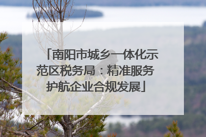 南阳市城乡一体化示范区税务局：精准服务护航企业合规发展