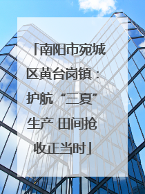 南阳市宛城区黄台岗镇：护航“三夏”生产 田间抢收正当时
