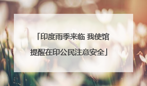 印度雨季来临 我使馆提醒在印公民注意安全