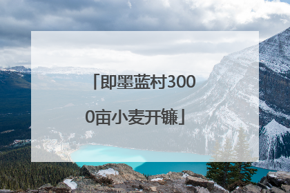 即墨蓝村3000亩小麦开镰