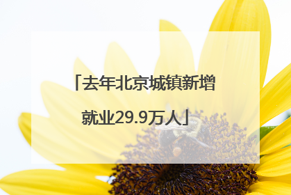 去年北京城镇新增就业29.9万人