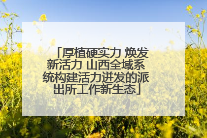 厚植硬实力 焕发新活力 山西全域系统构建活力迸发的派出所工作新生态