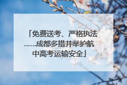 免费送考、严格执法……成都多措并举护航中高考运输安全