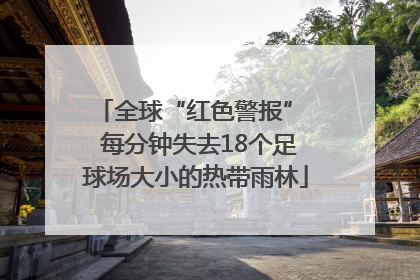 全球“红色警报”  每分钟失去18个足球场大小的热带雨林