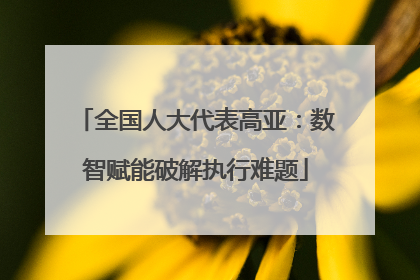 全国人大代表高亚：数智赋能破解执行难题