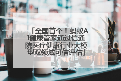全国首个！蚂蚁AI健康管家通过信通院医疗健康行业大模型双领域可信评估