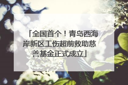 全国首个！青岛西海岸新区工伤超前救助慈善基金正式成立