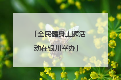 全民健身主题活动在银川举办