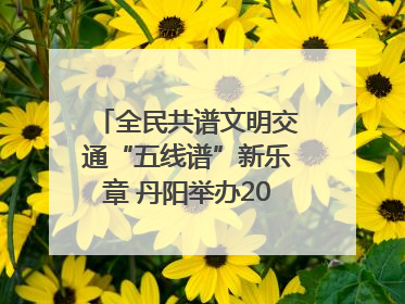 全民共谱文明交通“五线谱”新乐章 丹阳举办2025年“文明交通 同心同行”主题宣传活动