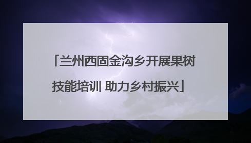 兰州西固金沟乡开展果树技能培训 助力乡村振兴