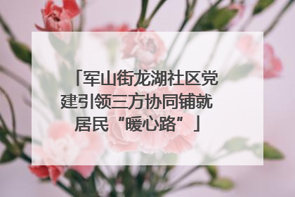 军山街龙湖社区党建引领三方协同铺就居民“暖心路”
