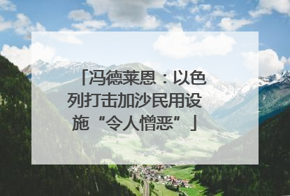 冯德莱恩：以色列打击加沙民用设施“令人憎恶”