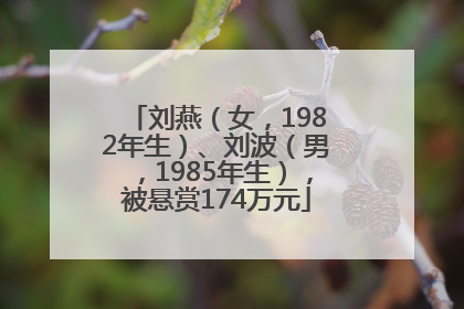 刘燕（女，1982年生）、刘波（男，1985年生），被悬赏174万元