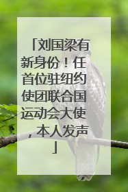 刘国梁有新身份！任首位驻纽约使团联合国运动会大使，本人发声