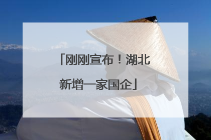 刚刚宣布！湖北新增一家国企